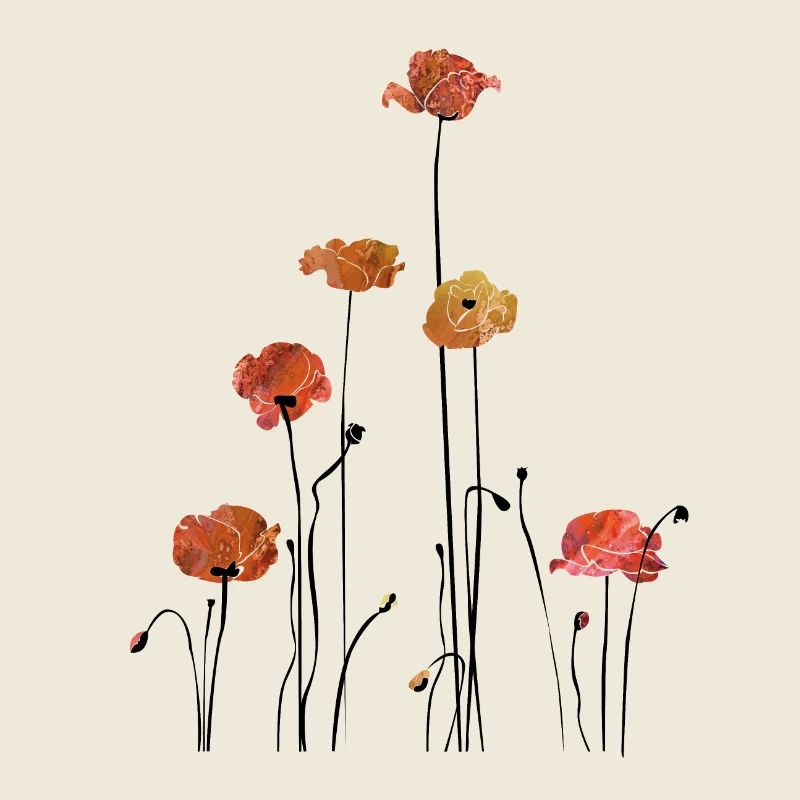 Mohnblume Klatschmohn