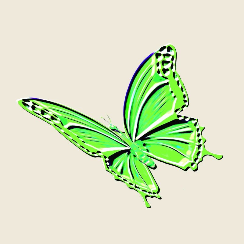 Papillon vert