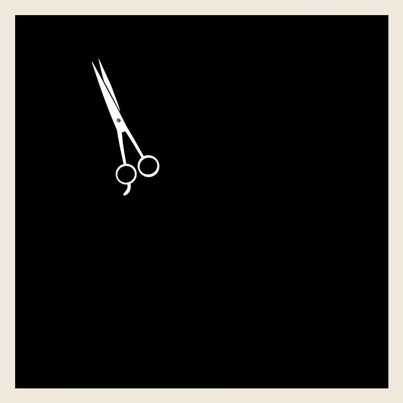 Barber scissors