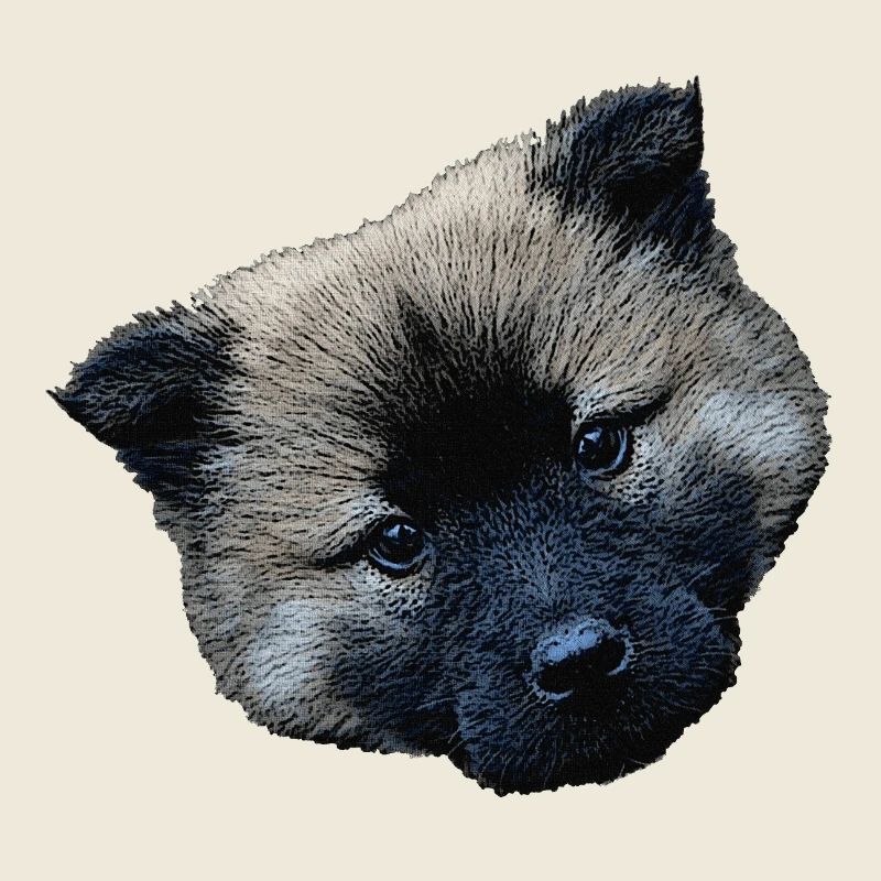 Fermeture du chiot, chiot eurasier