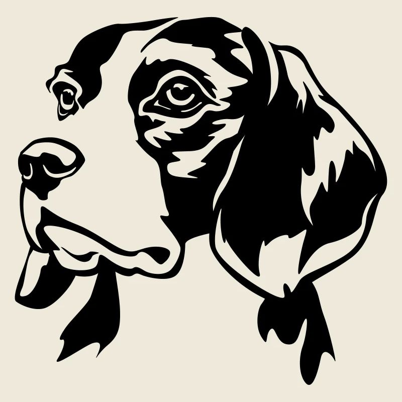 Tête de Beagle