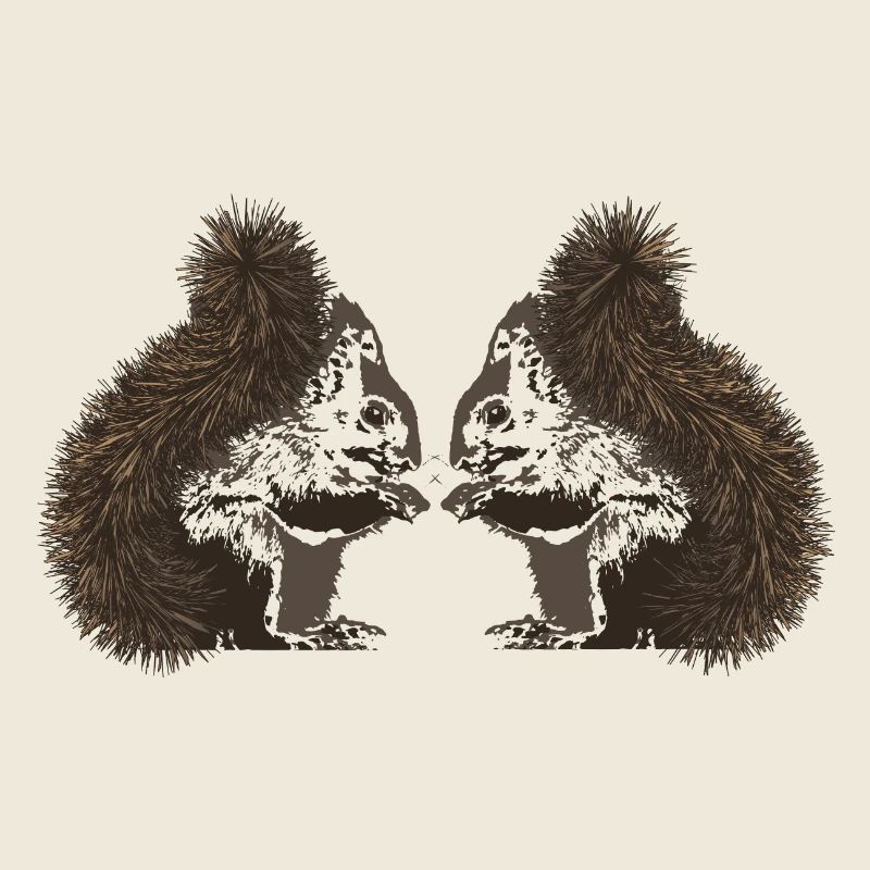 Eichhörnchen, Eichhörnchen