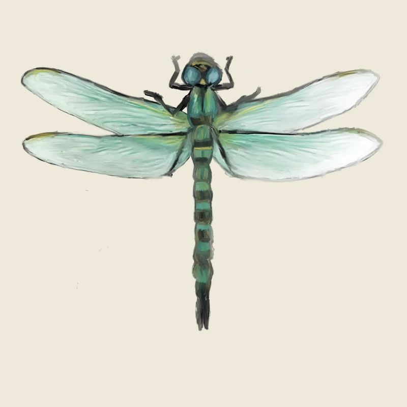 Libellule verte aquarelle Art