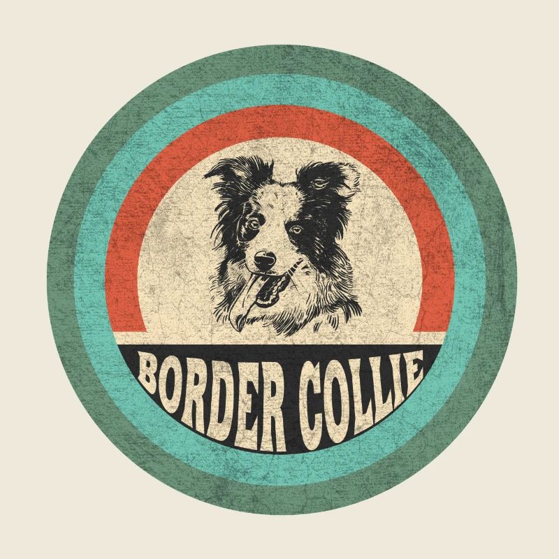 Border Collie Vintage