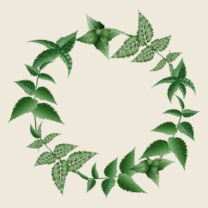 Couronne d’ortie dans des tons sombres de vert