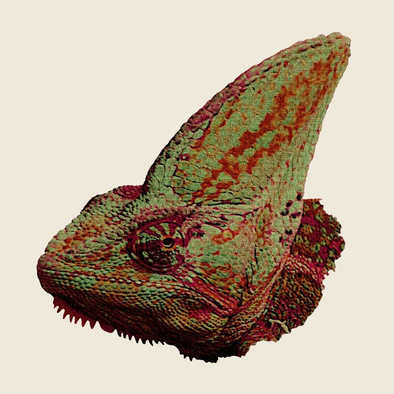 Reptilien designs, Chameleonkopf, freizeitkleidung