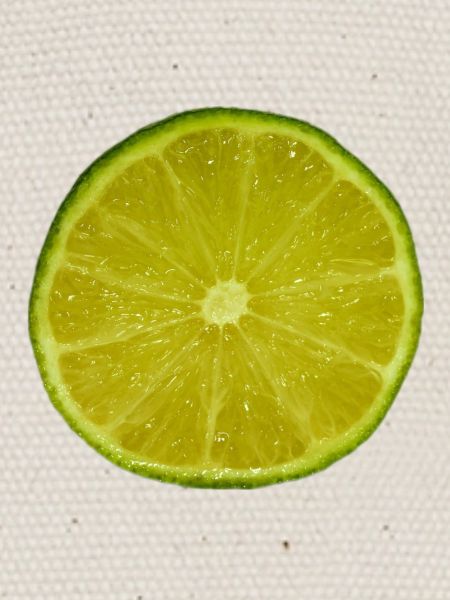Lime Slice