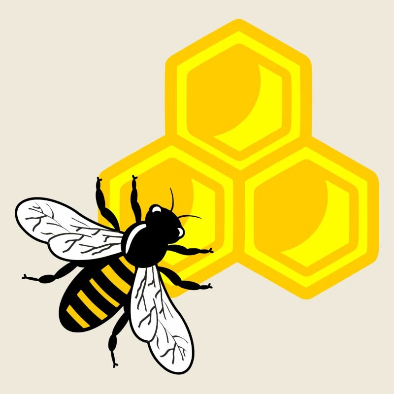 Honeybee on honeycomb