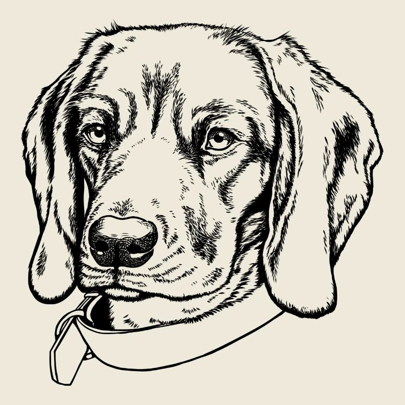 BGS Portrait noir