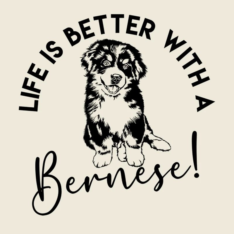 Bouvier bernois