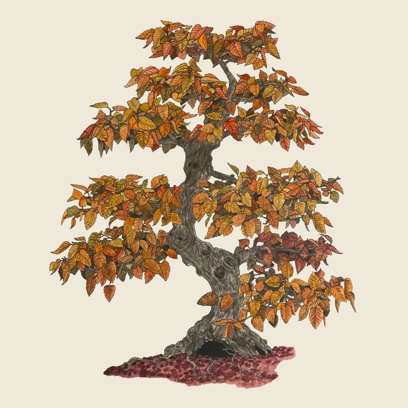 Bonsai deciduous tree with red leaves