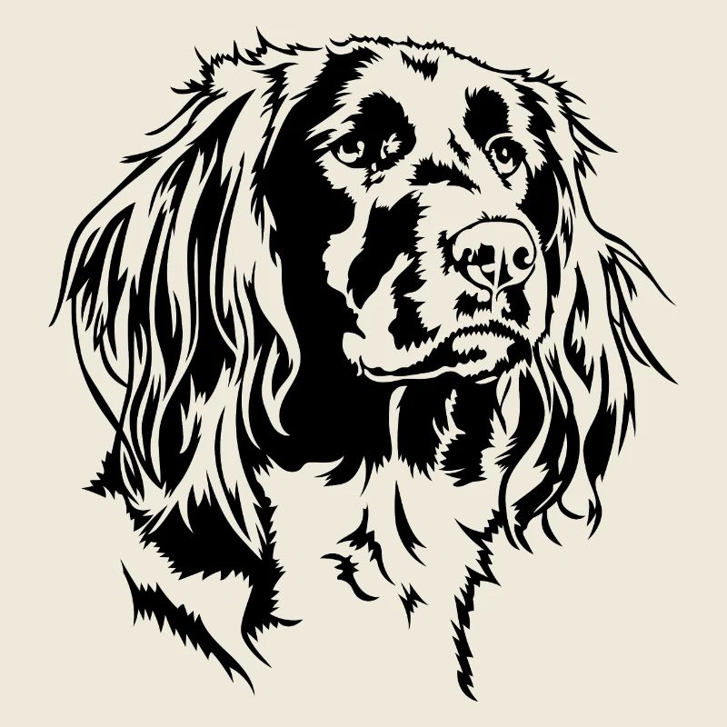 KLEINER MÜNSTERLÄNDER Jagdhund Jagdhunde Wilsigns