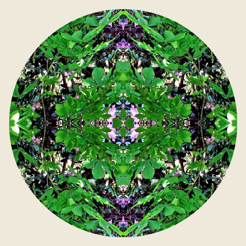 Nature Mandala Spring in Dennenlohe