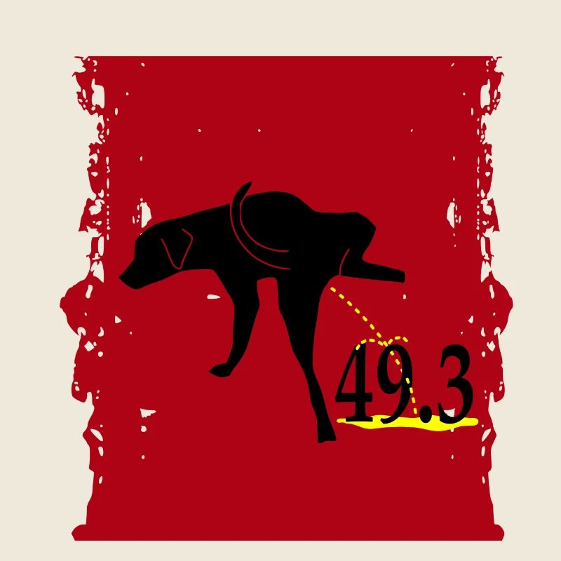 49.3