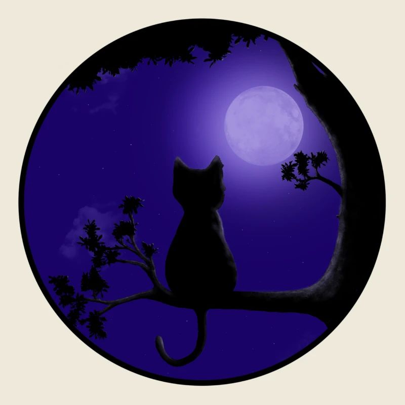 Cat Moon