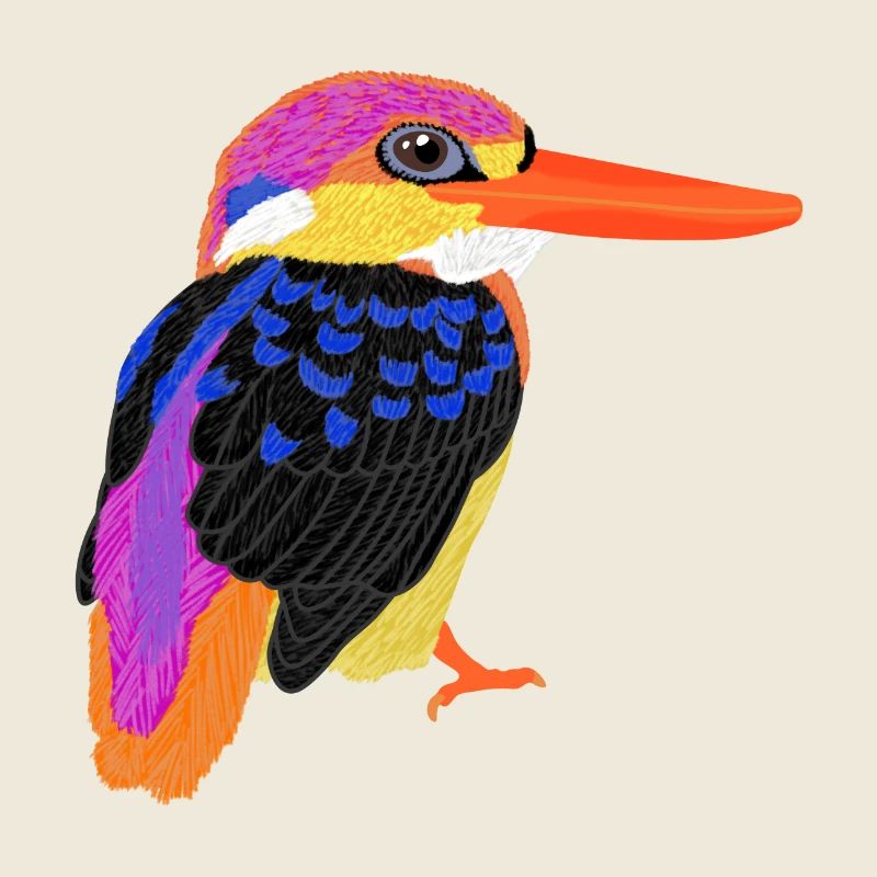 Dschungelzwergfischer, Asiatischer Eisvogel, Süß