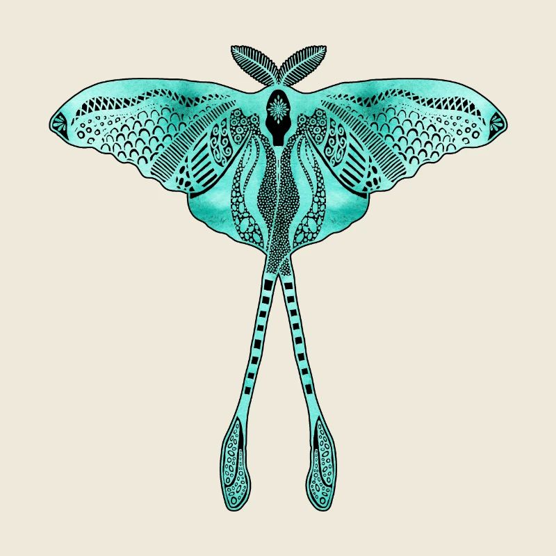 Chinese Moon Moth - Luna Moon Moth