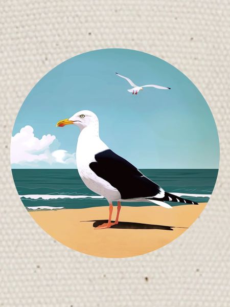 Seagull