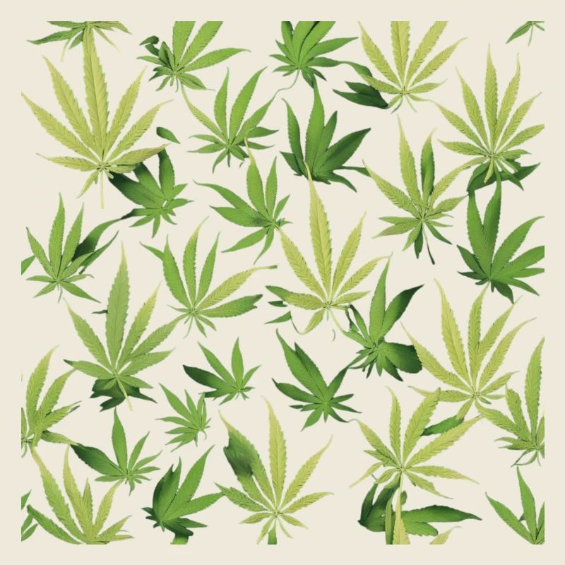 Cannabis 2