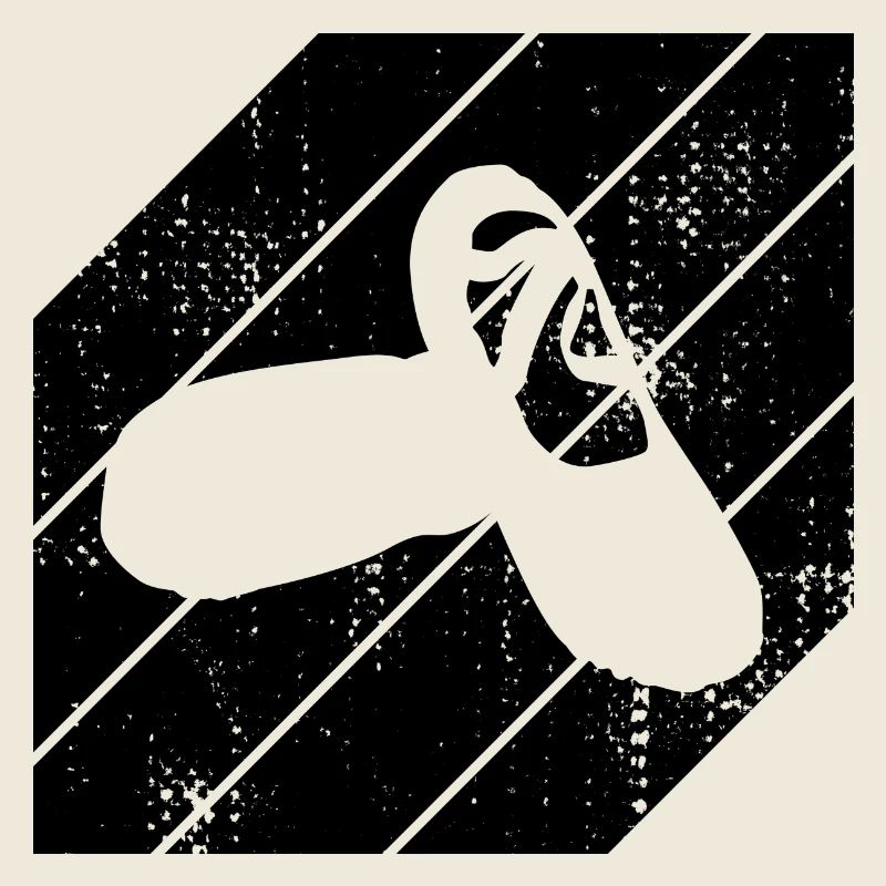 Chaussons de ballet
