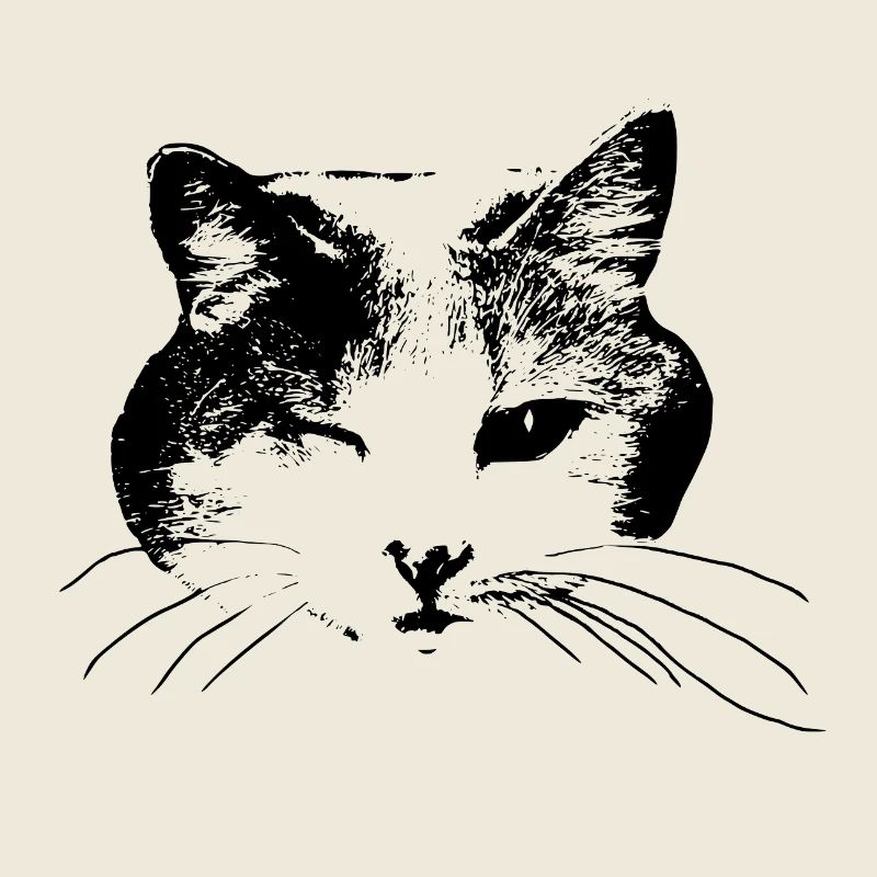 Clin d’œil minou