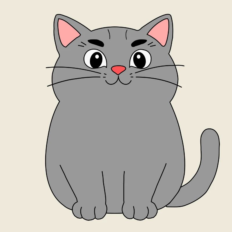 Gray Cat