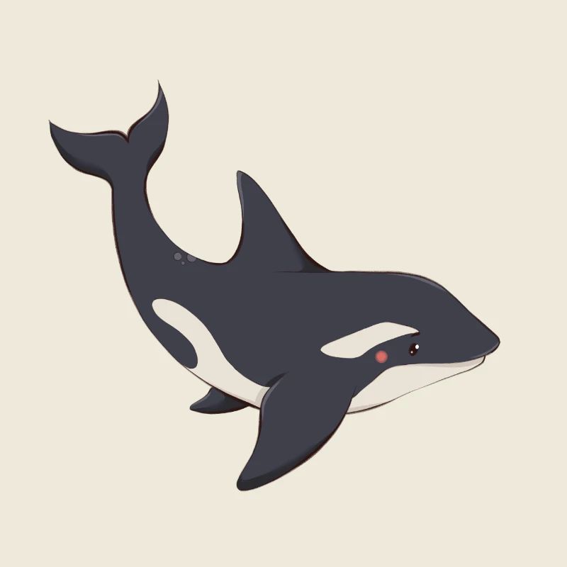 Killer whale