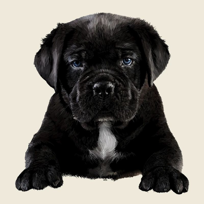 Chiot