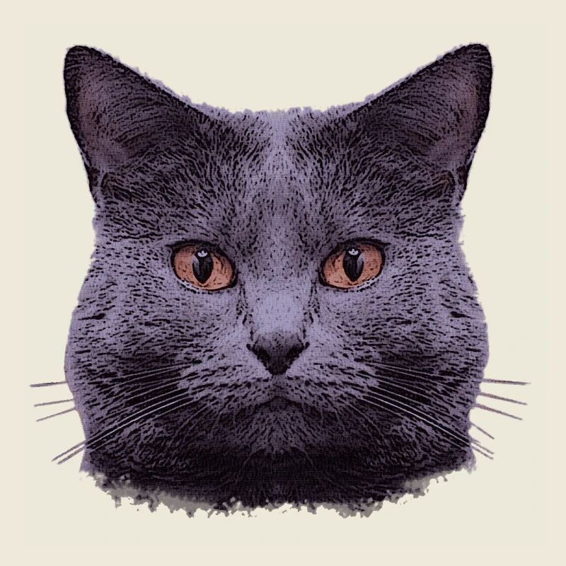 kartäuser katze, frauen