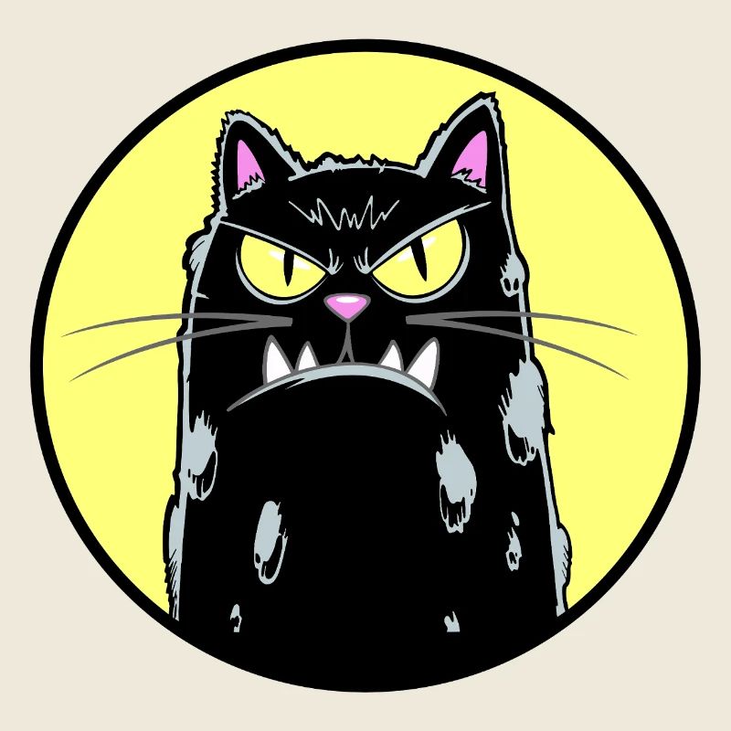 Chat noir