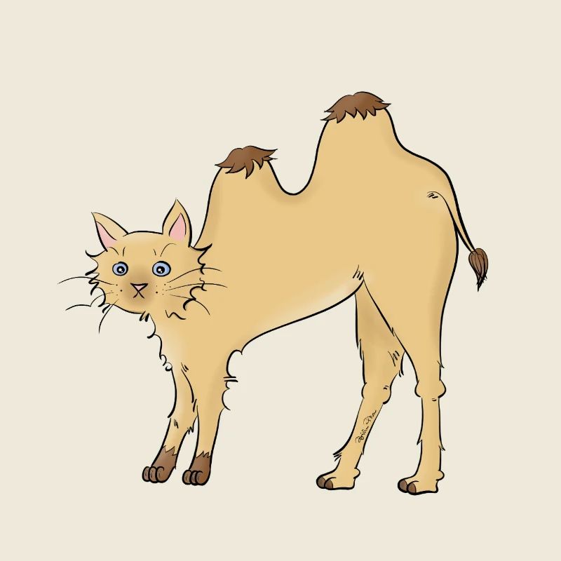 Chat-meau