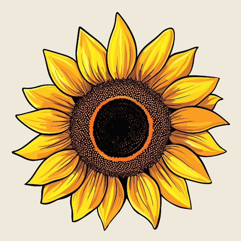 sonnenblume