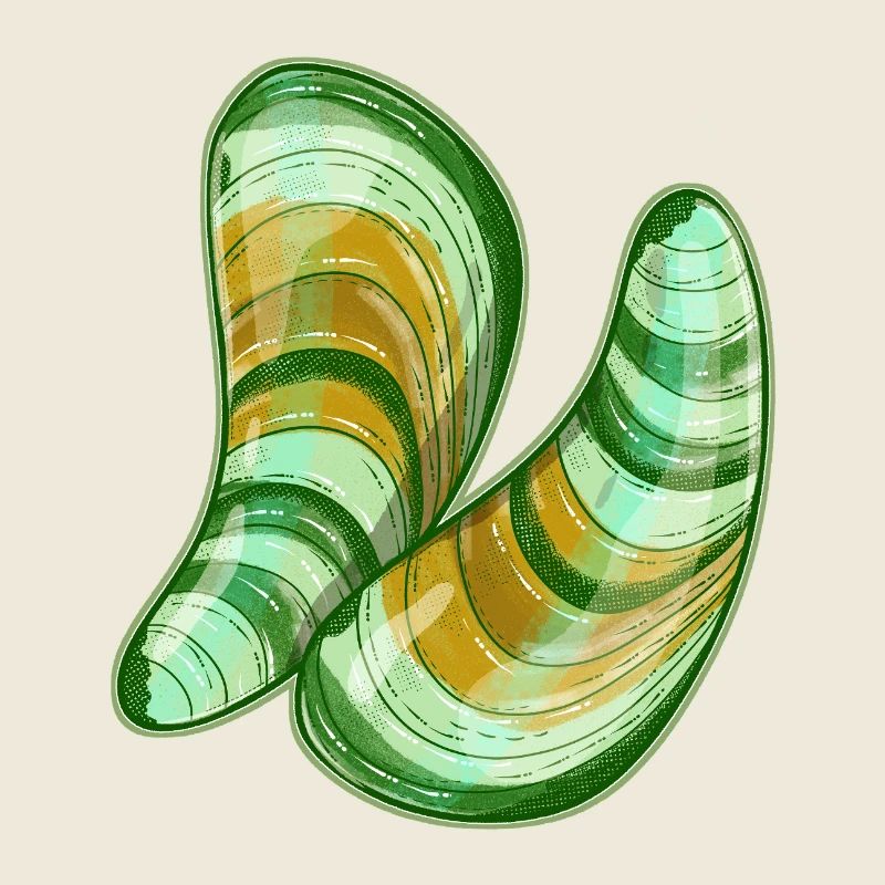 Illustration de moules à lèvres vertes