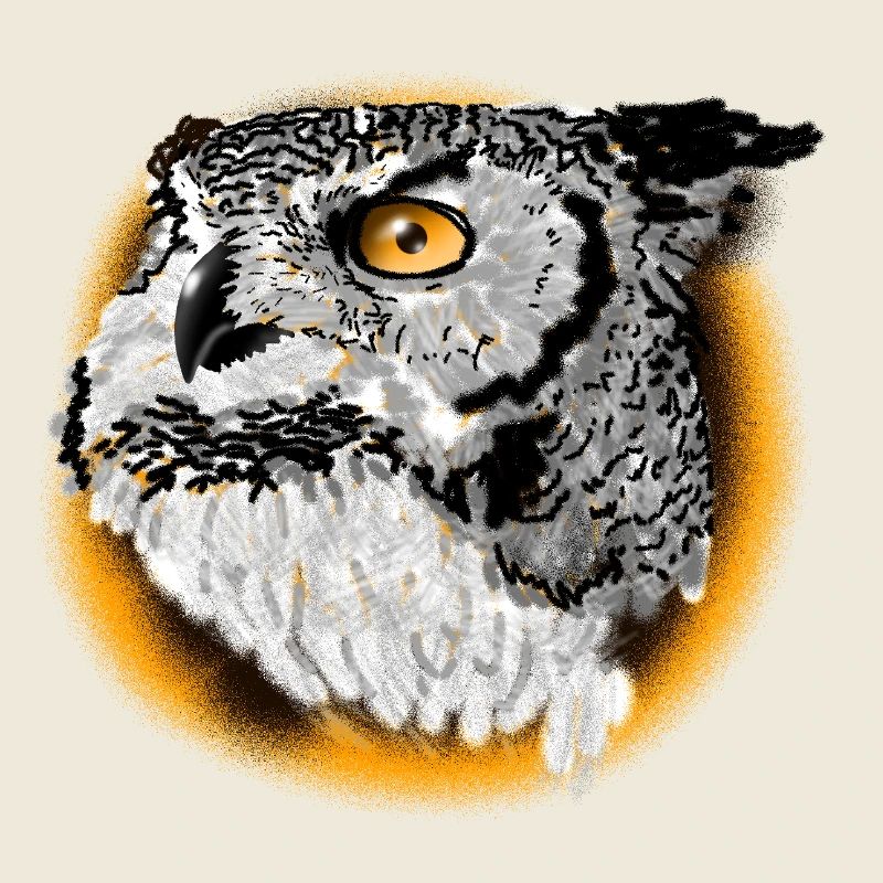 Night Owl Portrait