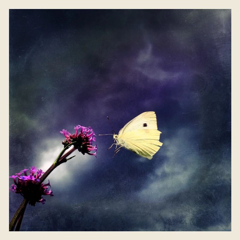 Approach in thunderstorm mood