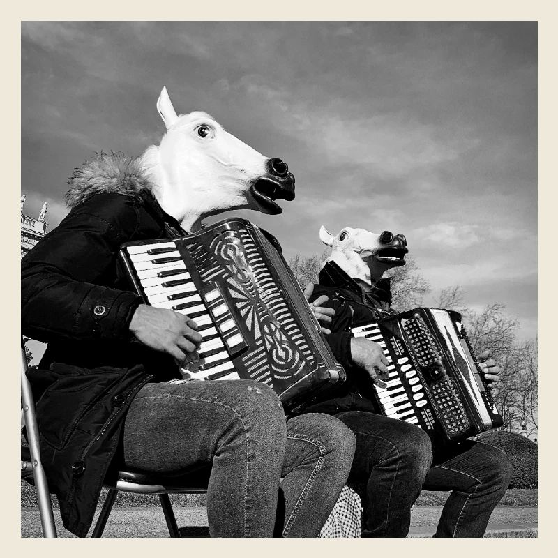 Bande de chevaux