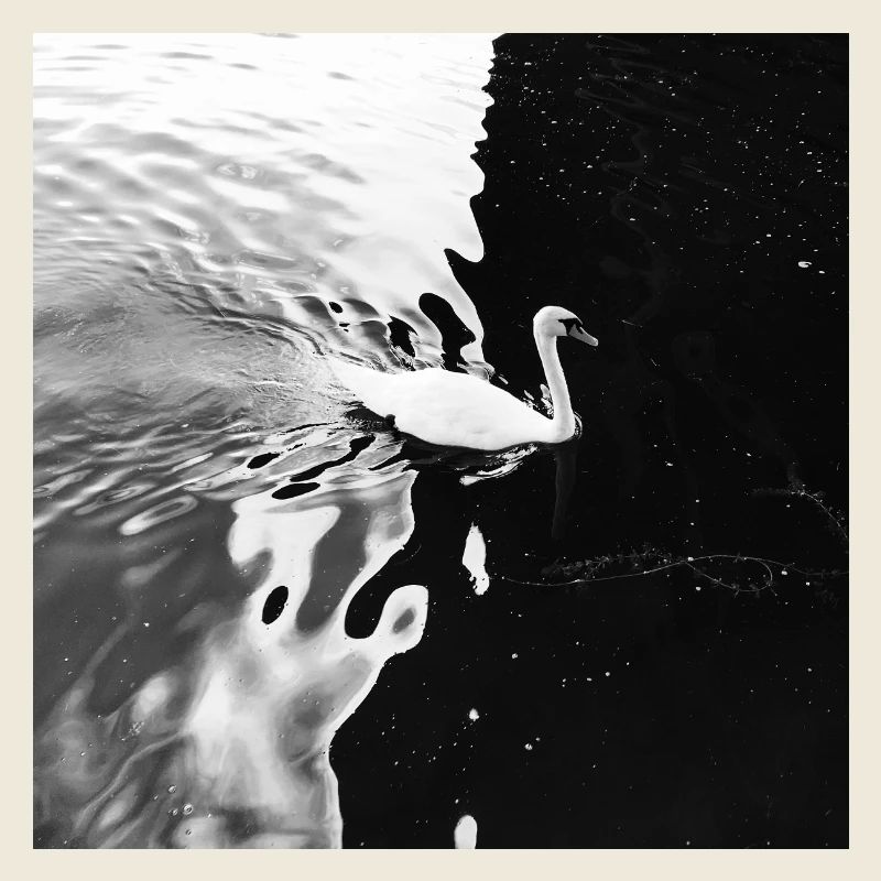 From light to darkness