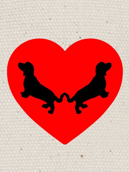 Dachshund