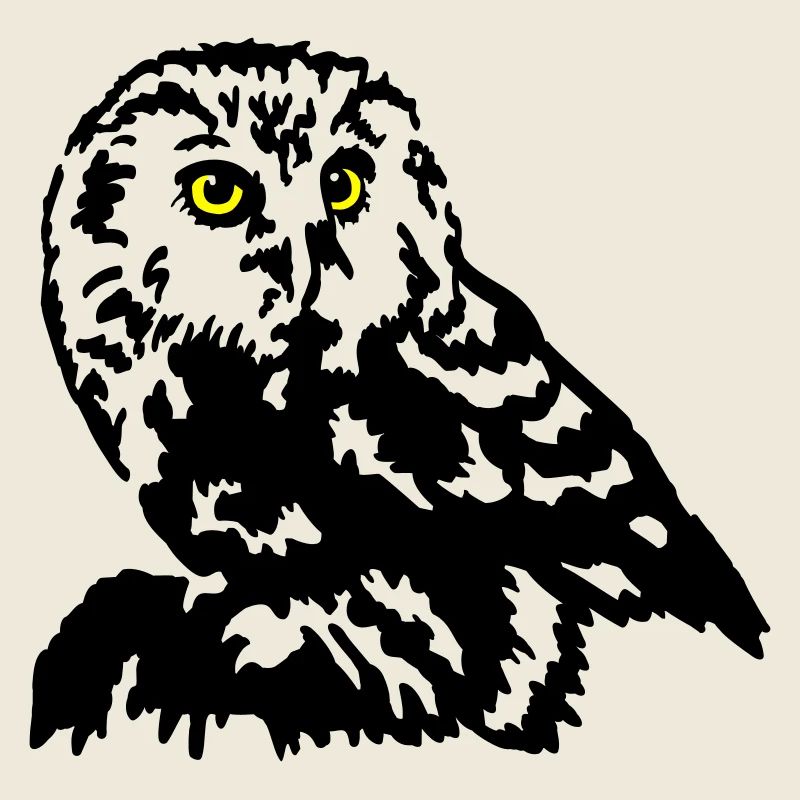 Steinkauz Eule