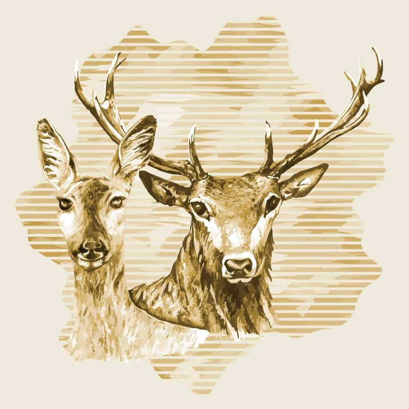 Deer and doe