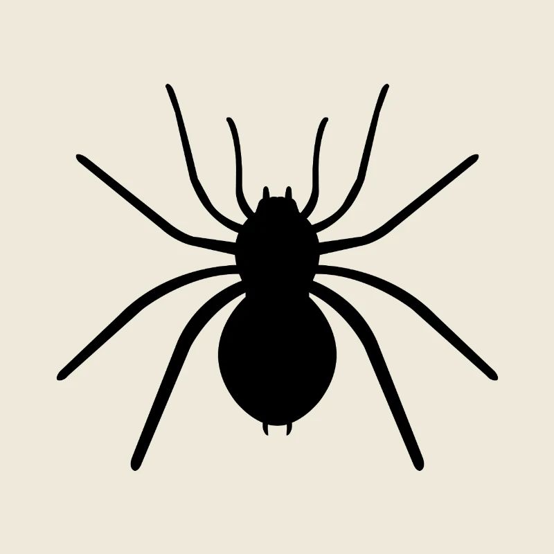 Spinne