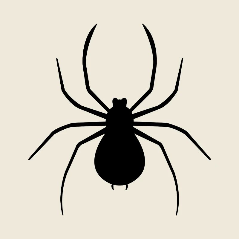 Spinne
