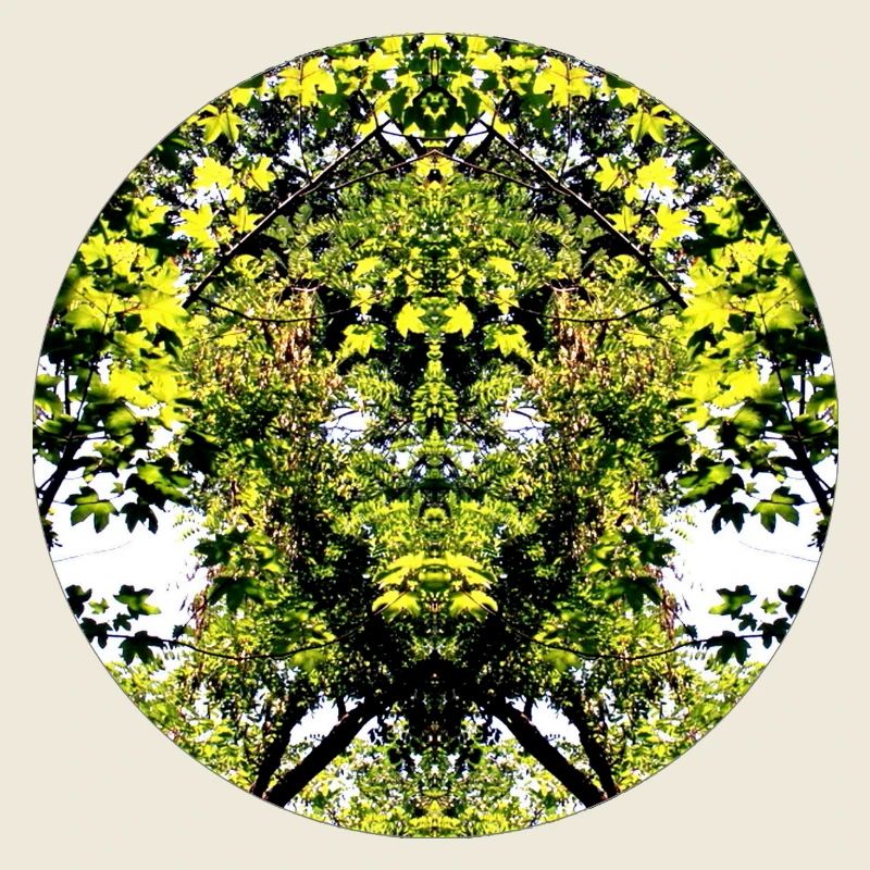 Créature de la nature des arbres