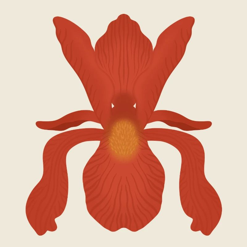 Flamme d’Iris Cramoisi
