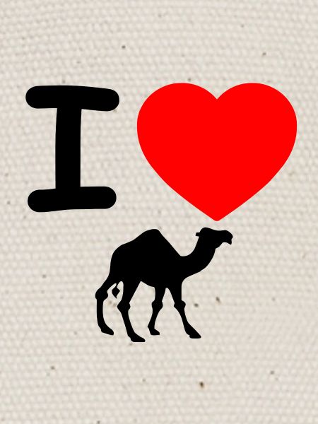 Dromedary