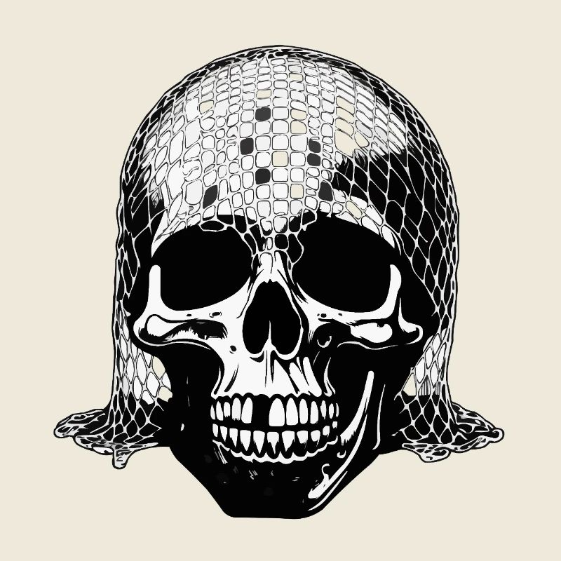 Skull with net veil