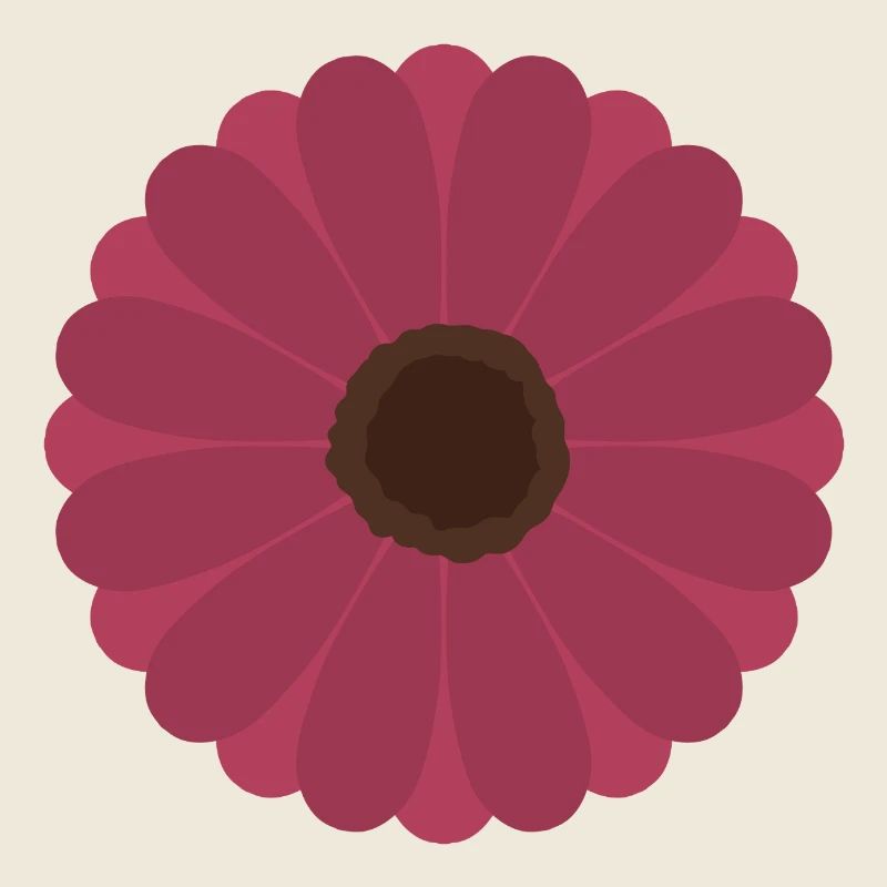 Motif de floraison de gerbère rose