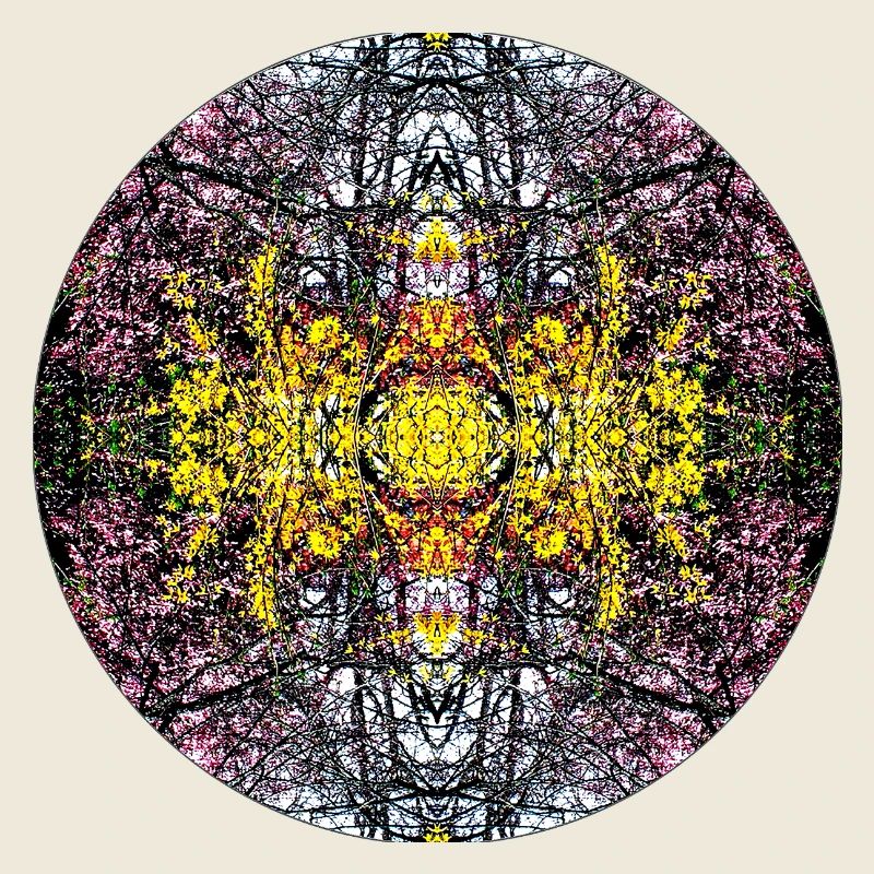 Source du Mandala de la nature dans le parc municipal