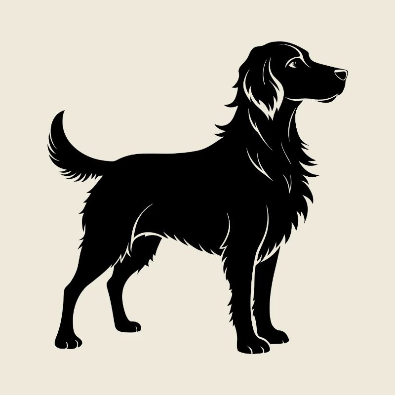 Chien Bretagne