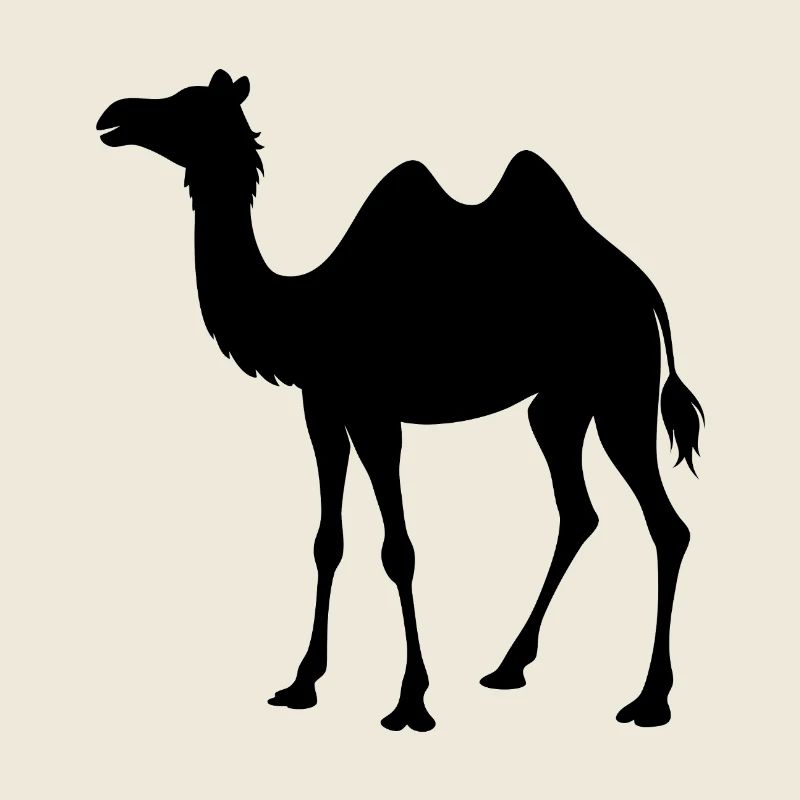 Kamel